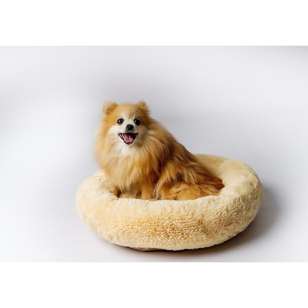 Hundeseng GO GIFT M 50 x 10 x 57 cm